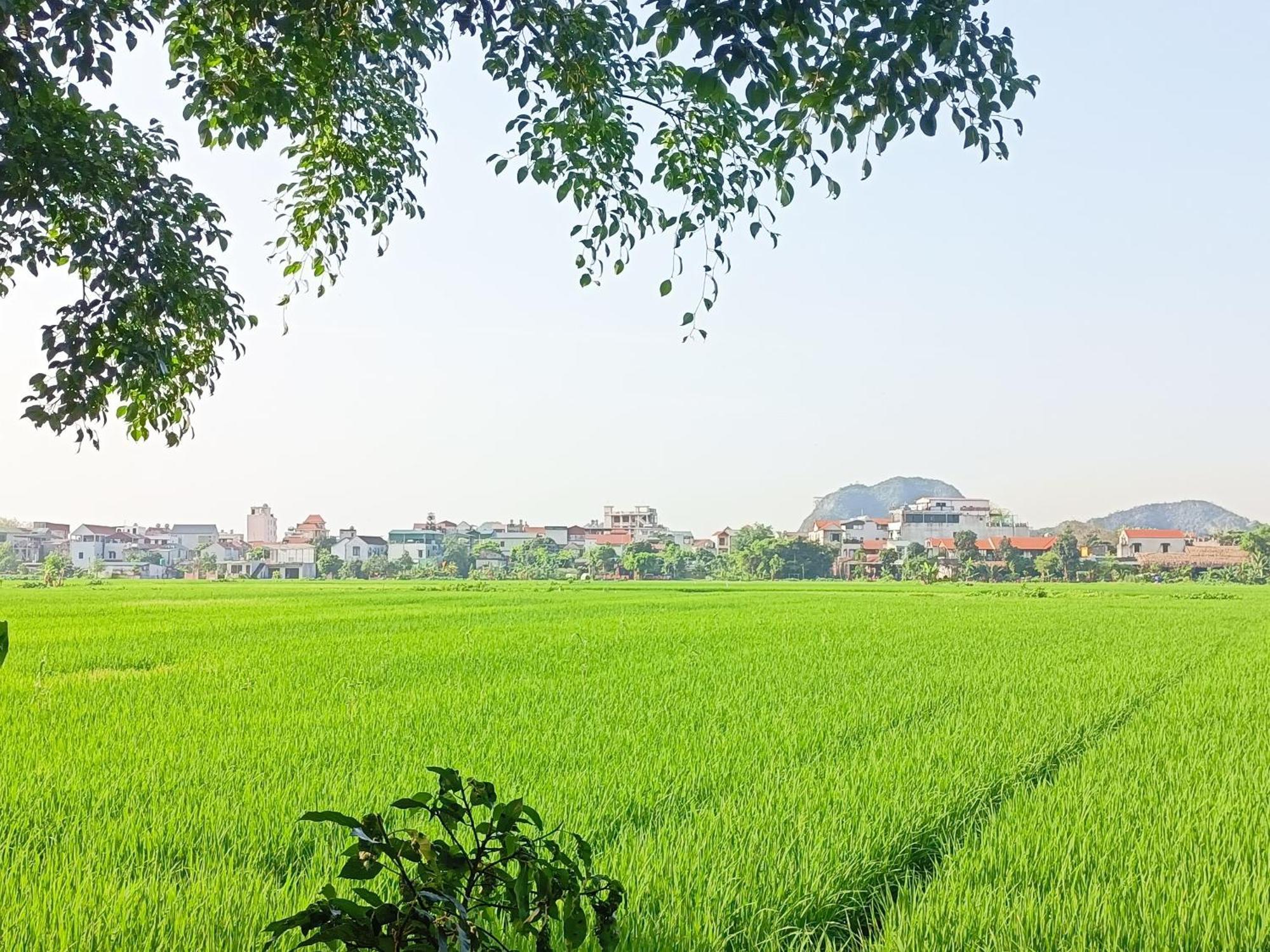 Tam Coc Sunshine Homestay Ninh Binh Exteriér fotografie