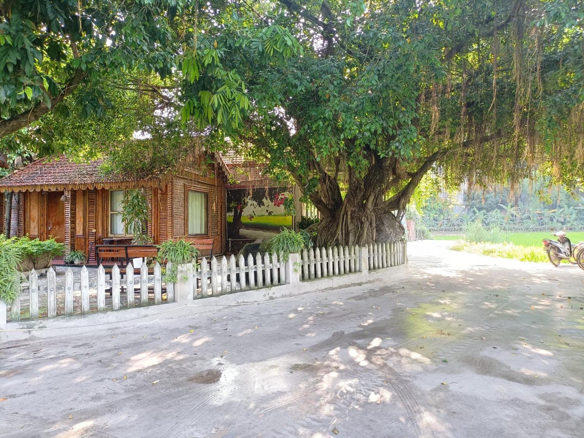 Tam Coc Sunshine Homestay Ninh Binh Exteriér fotografie