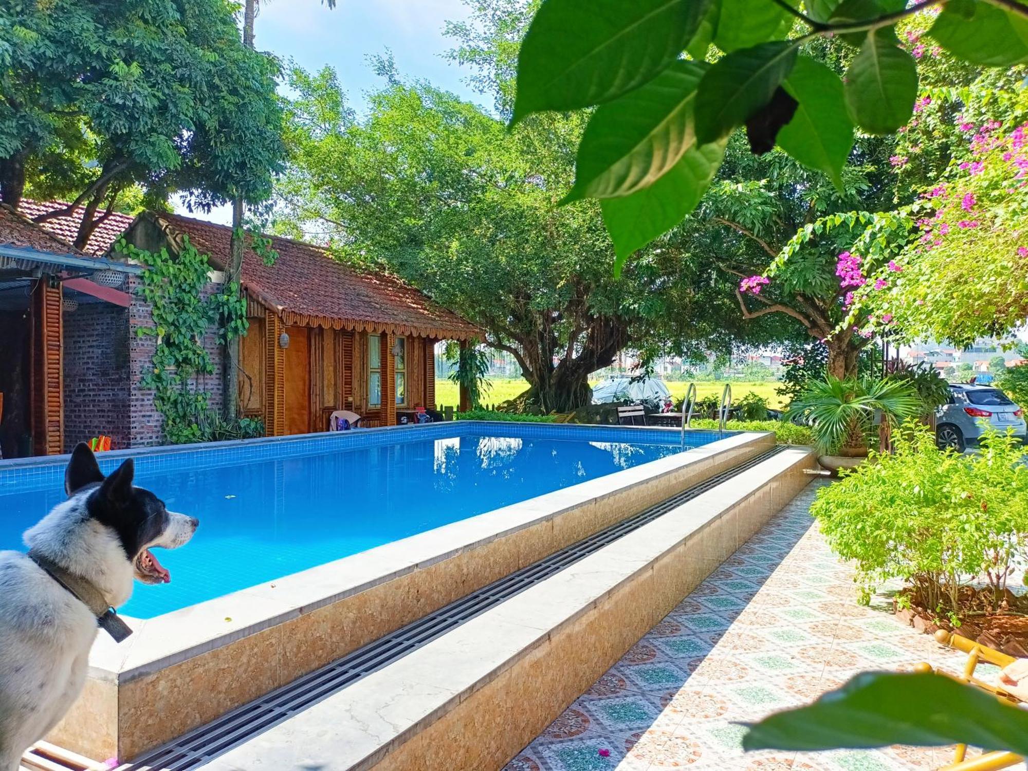 Tam Coc Sunshine Homestay Ninh Binh Exteriér fotografie