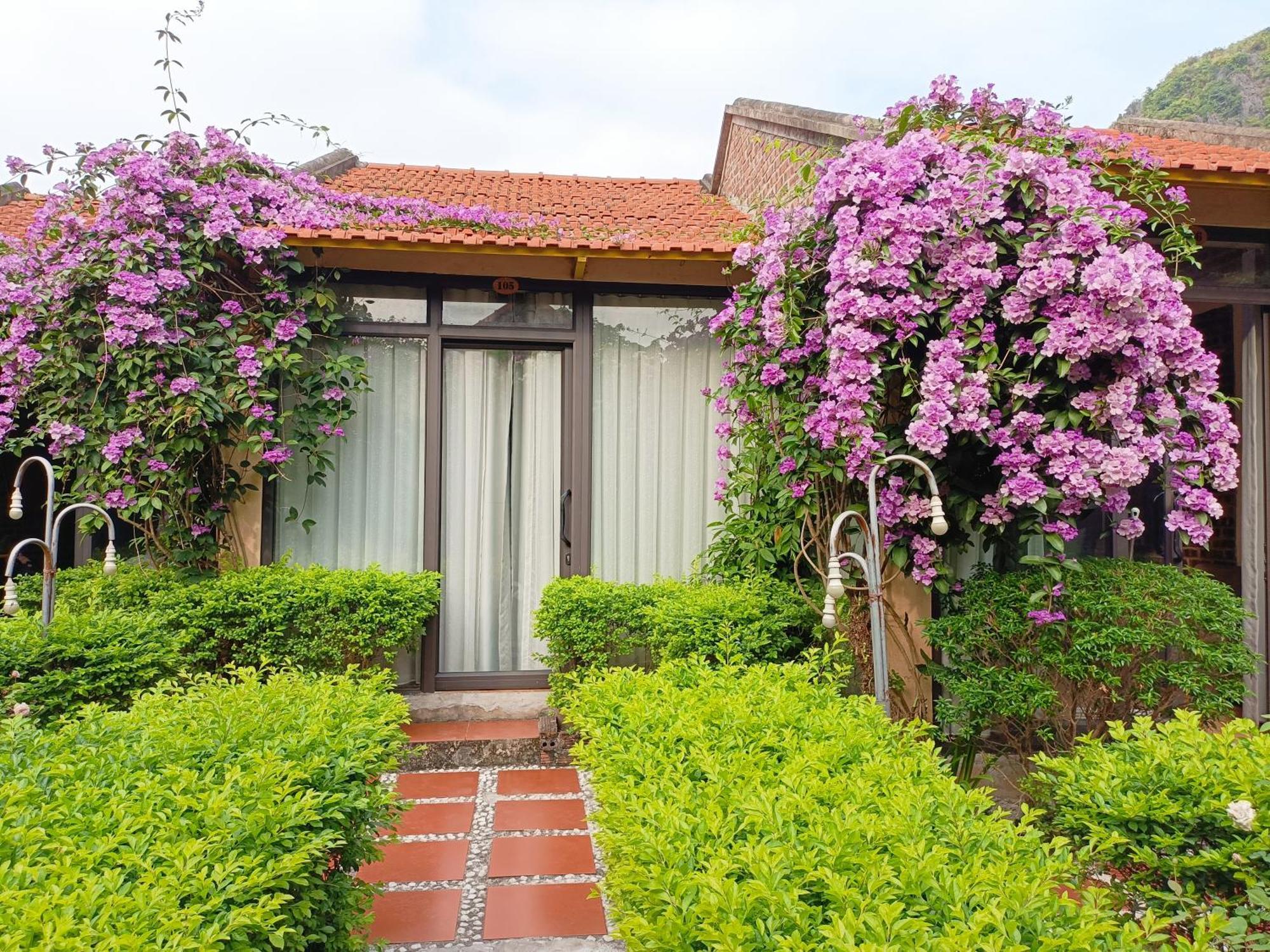 Tam Coc Sunshine Homestay Ninh Binh Exteriér fotografie