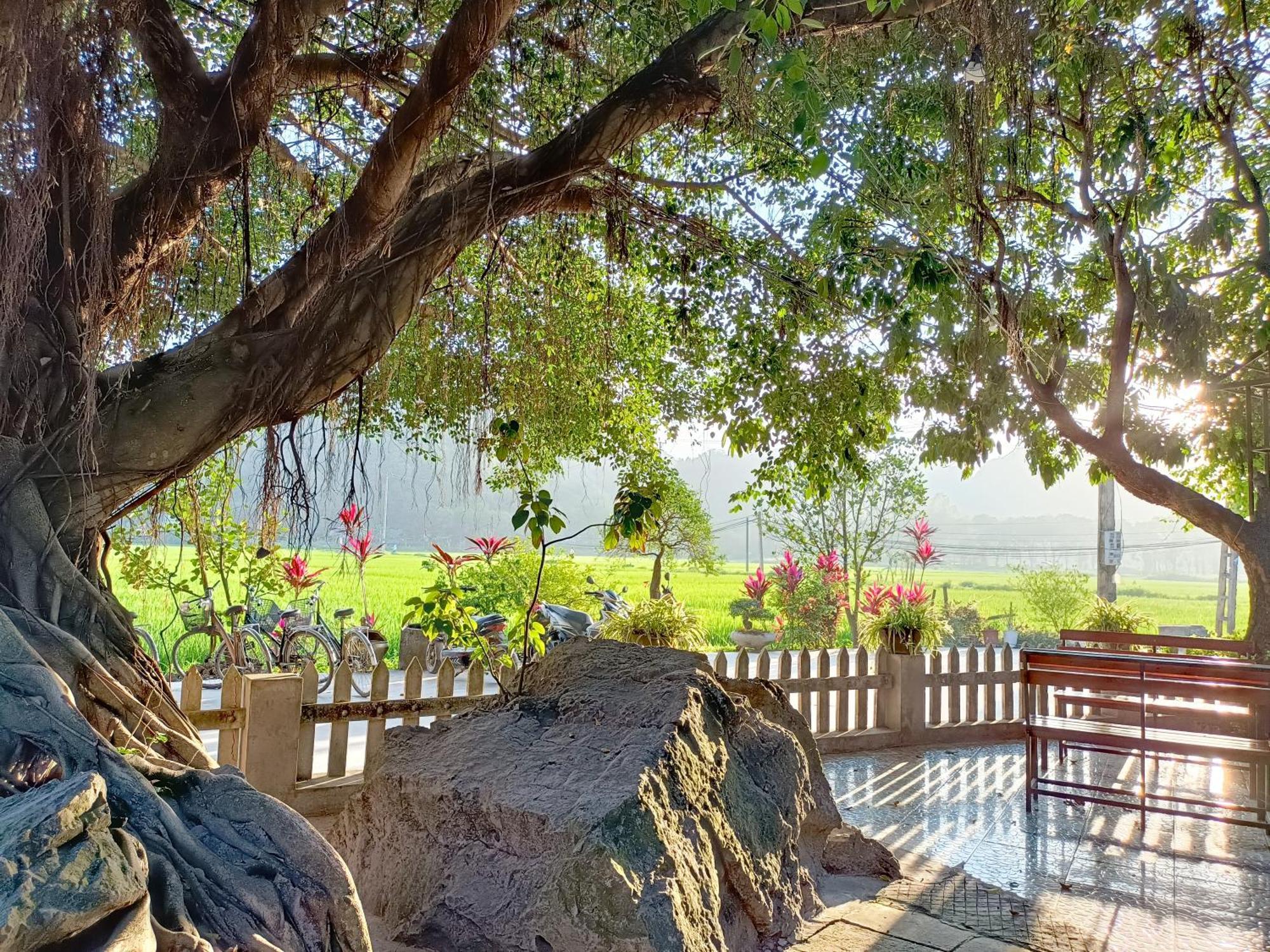 Tam Coc Sunshine Homestay Ninh Binh Exteriér fotografie