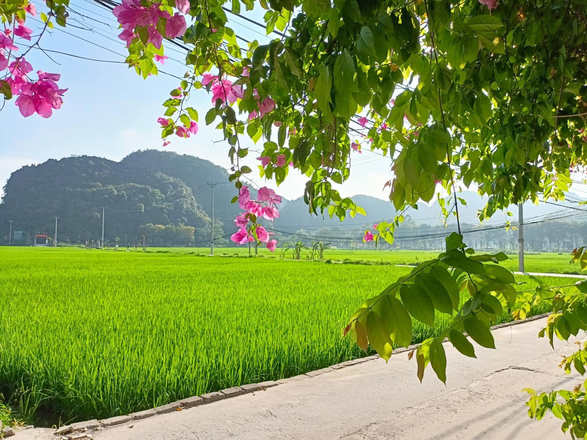 Tam Coc Sunshine Homestay Ninh Binh Exteriér fotografie