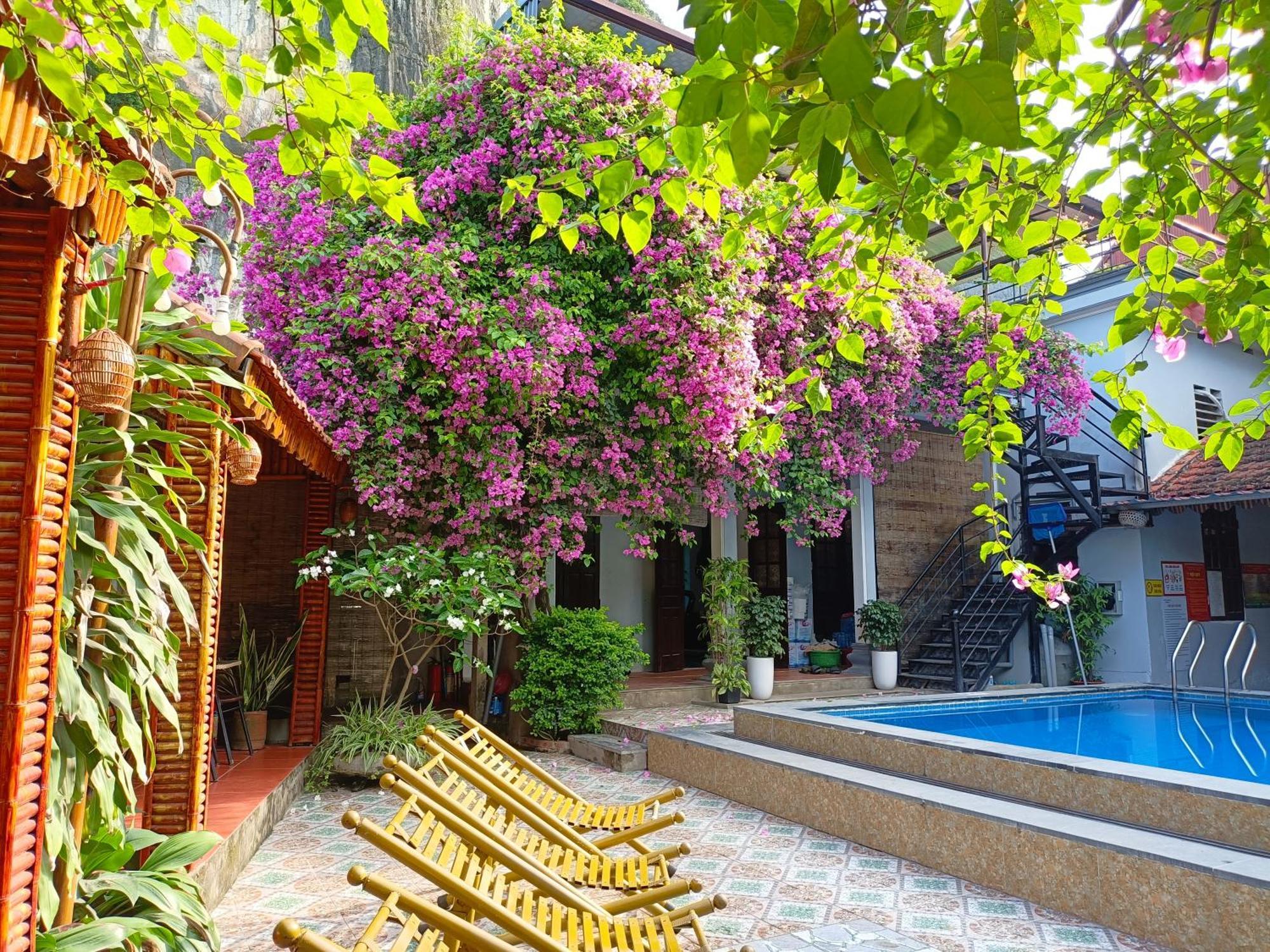 Tam Coc Sunshine Homestay Ninh Binh Exteriér fotografie